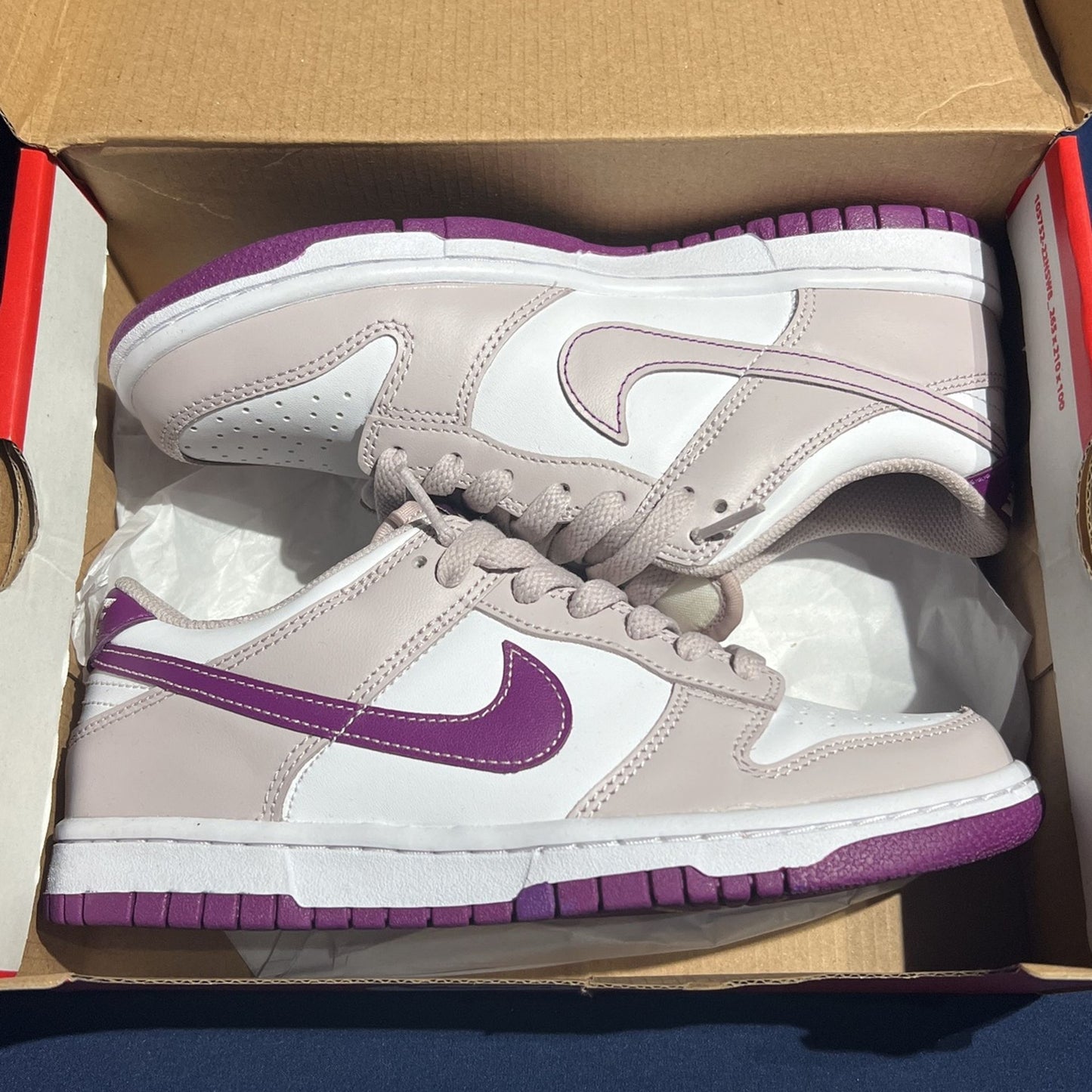Nike Dunk Low Platinum Violet (Ps)